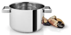 Eva Solo Kookpan Nordic Kitchen RVS - ø 20 Cm / 4 Liter -Keukengerei Korting Winkel 281240 Nordic Kitchen Pot 4l 20cm regi HIGH