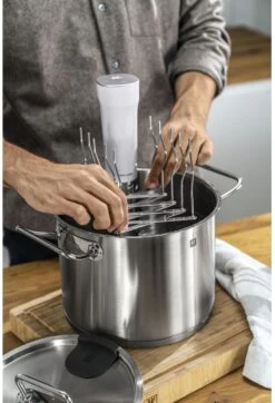 Zwilling Verstelbaar Sous Vide Rek Enfinigy - 15 Tot 47 Cm -Keukengerei Korting Winkel 4009839643897 6