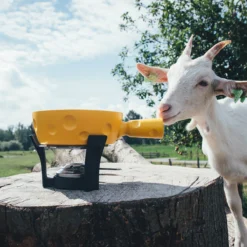 Boska Fondueset Cheesy - 6 Personen - Geel/zwart - 1.3 Liter -Keukengerei Korting Winkel 853512 BOSKAFondueSetSuperCheesy 2 2400x