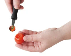 Westmark Tomatenontkroner Zwart -Keukengerei Korting Winkel 8GVPOMPIajphBmdMXP4 5bkuljPY 42H8mfNNBrTyQg