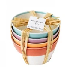 Royal Doulton Kommen 1815 Bright Colours ø 15 Cm - 4 Stuks -Keukengerei Korting Winkel 9022 2