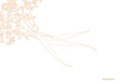 Kookboek - Plenty More -Keukengerei Korting Winkel 9789059565388 03