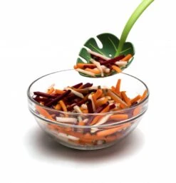 Ototo Opscheplepel Jungle Spoon 12 Ototo Opscheplepel Jungle Spoon -Keukengerei Korting Winkel Ototo Opscheplepel Jungle Spoon 3