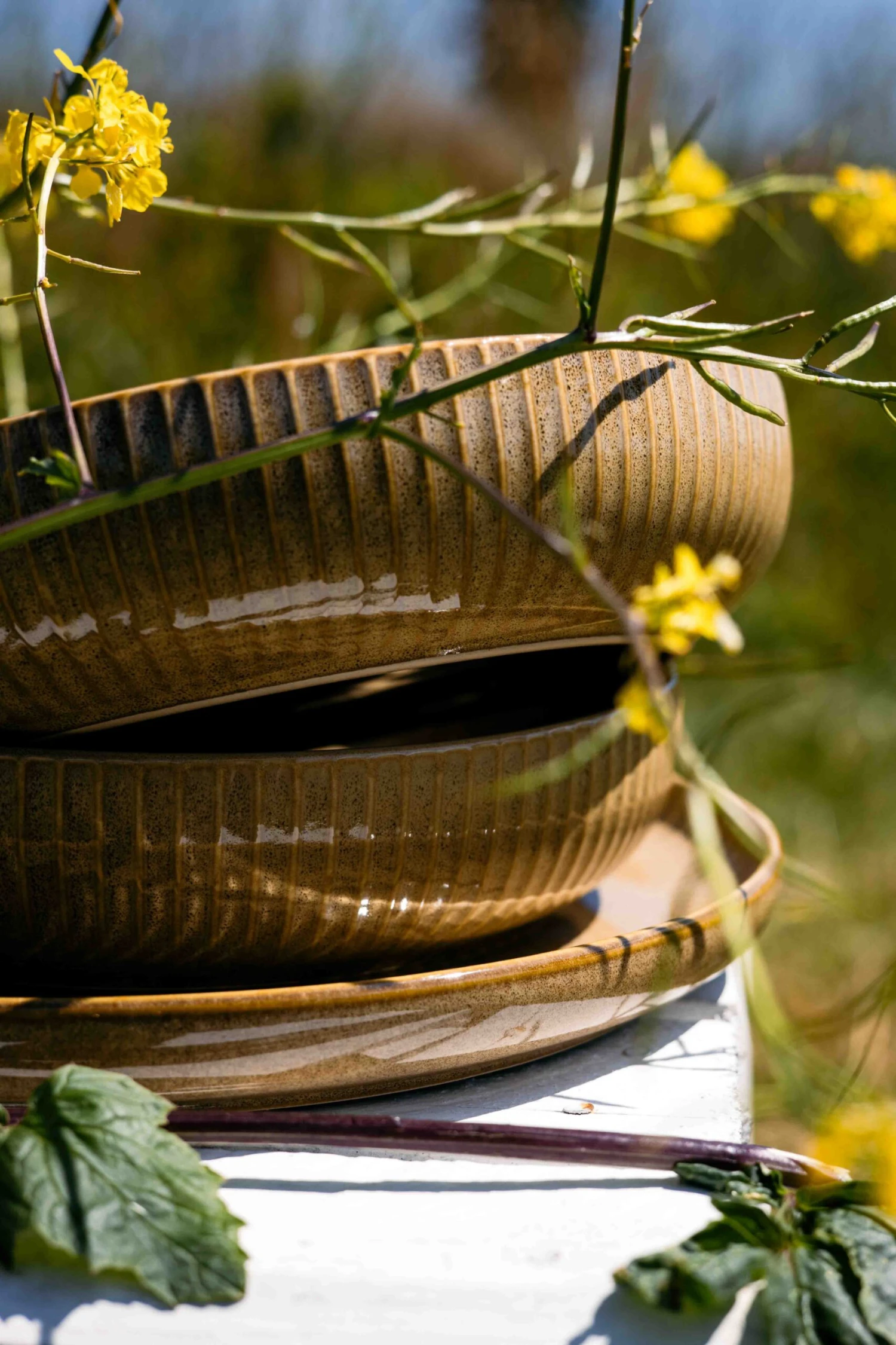 Jay Hill Ontbijtborden Silhouette ø 21 Cm - 4 Stuks 7 Jay Hill Ontbijtborden Silhouette ø 21 Cm - 4 Stuks - Afbeelding 5