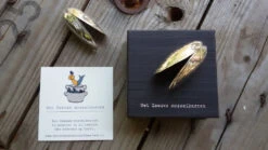 Anovi Mosselbestek 2-delig -Keukengerei Korting Winkel anovi mosselbestek