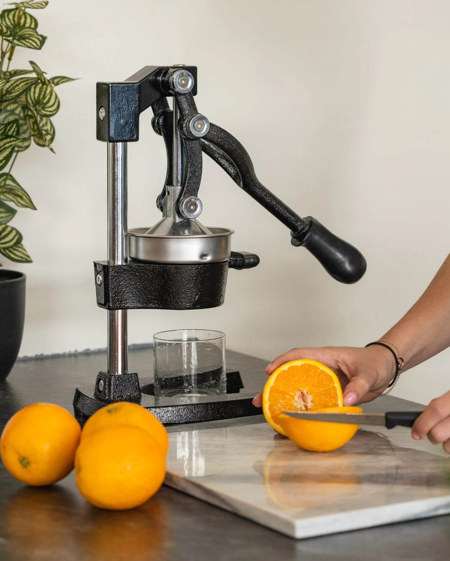 Sareva Citruspers - Gietijzer - Hevelmodel - Zwart 4 Sareva Citruspers - Gietijzer - Hevelmodel - Zwart - Afbeelding 2