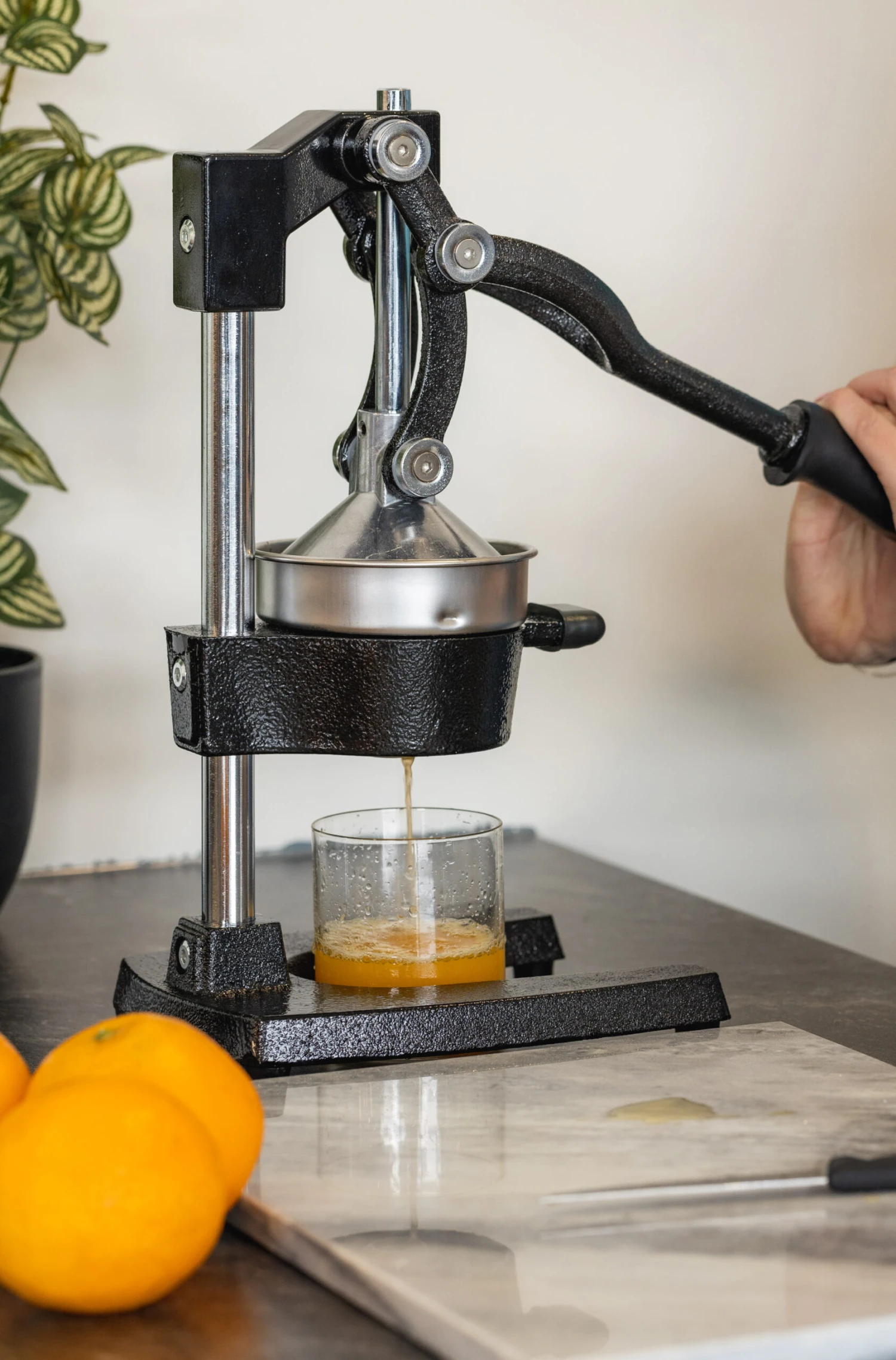 Sareva Citruspers - Gietijzer - Hevelmodel - Zwart 7 Sareva Citruspers - Gietijzer - Hevelmodel - Zwart - Afbeelding 5