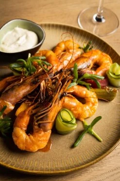 Jay Hill Dinerborden Silhouette ø 27 Cm - 4 Stuks -Keukengerei Korting Winkel jay hill silhouette 1