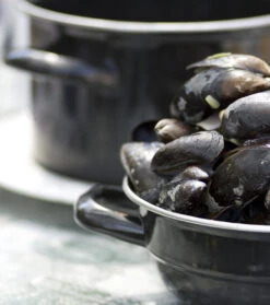 Cosy & Trendy Mosselpan - Oranje - ø 18 Cm / 2.8 Liter -Keukengerei Korting Winkel mosselpan 4