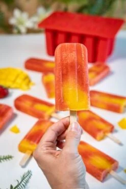 Sareva IJsjesmaker Voor 10 Ijsjes - Rood - Siliconen + 150 Houten IJsstokjes -Keukengerei Korting Winkel sareva ijsjesmaker 2