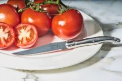 Laguiole Style De Vie Steakmessen Premium Line RVS 6 Stuks -Keukengerei Korting Winkel sf premium line rvs5