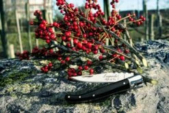 Laguiole Style De Vie Zakmes Zwart Ebbenhout 11 Laguiole Style De Vie Zakmes Zwart Ebbenhout -Keukengerei Korting Winkel sf zakmes zwart ebbenhout 6 gr