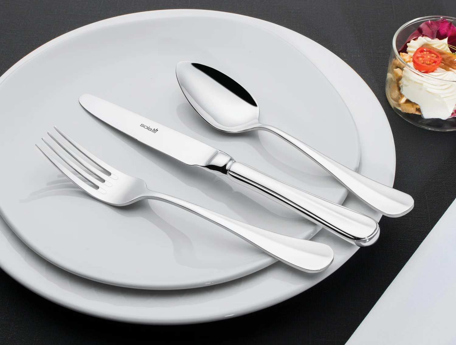 Sola Saladevork Hollands Glad 4 Sola Saladevork Hollands Glad - Afbeelding 2